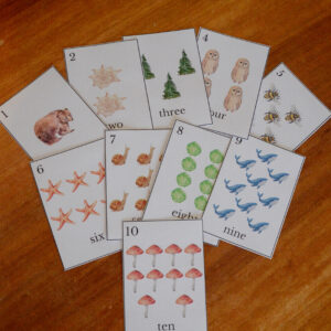 Watercolor Number Cards